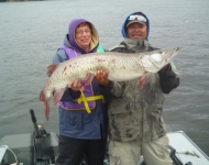 nicemusky09