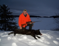 wolf NDdeer proam babies 168
